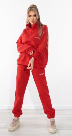 Теплий костюм на флісі з вишивкою