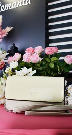 Модний клатч