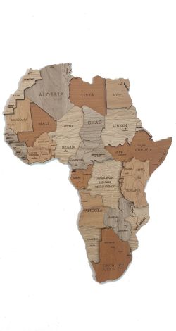 Дерев'яні карти світу