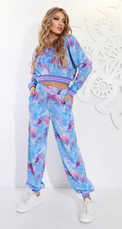 Спортивно-прогулянковий костюм