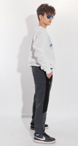 Мужские спортивные брюки