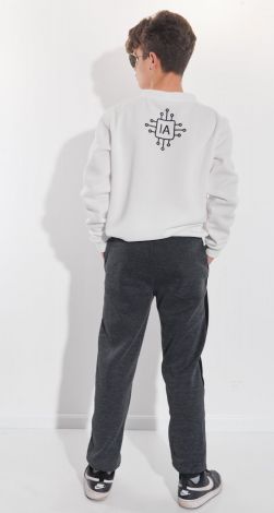 Мужские спортивные брюки