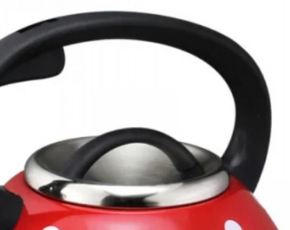 Чайник из нержавеющей стали со свистком