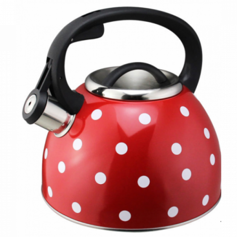 Чайник из нержавеющей стали со свистком