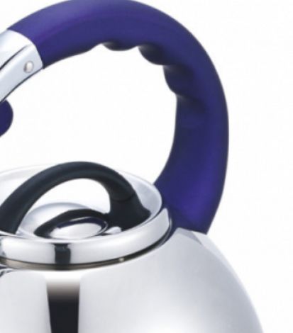 Чайник BN-711 из нержавеющей стали со свистком