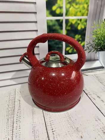 Чайник со свистком BN-729