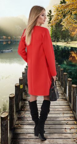 Cashmere coat