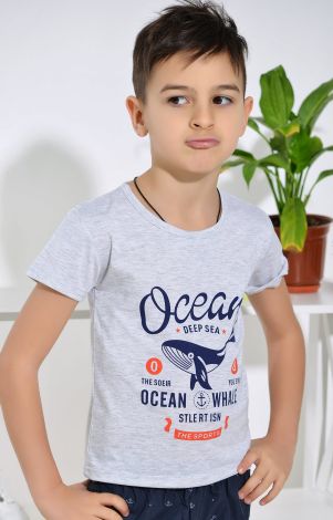 Футболка на хлопчика сіра