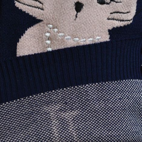 Кофта кішечка