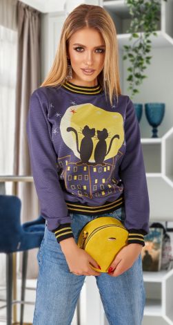 Stylish sweatshirt