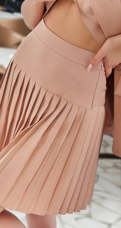 Стильный костюм с юбкой в складку