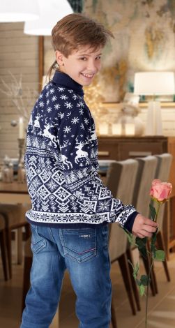 Светр з оленями